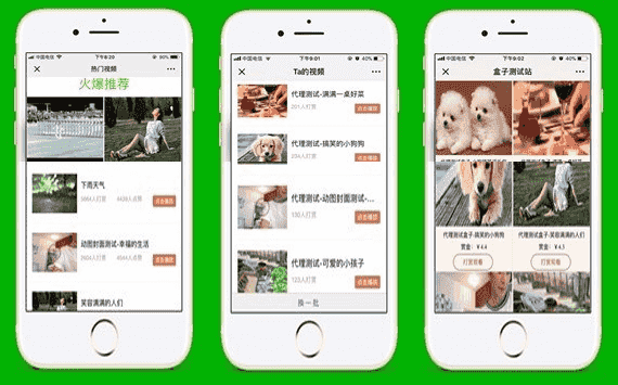 DS正版微信视频打赏源码代理分销系统源代码_全新V15自动检测域名黑白名单