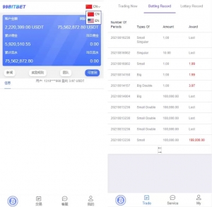 A0235双语言版虚拟币投资系统/USDT充值