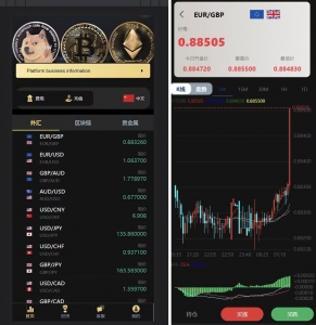 A0257支持多种语言的微交易多行情盘PHP源码