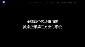 A0295【USDT支付】upay数字火币支付数字货币承兑系统/支持ERC20 OMNI/代理商/第三方支付接口