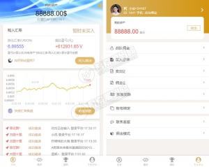 A0160完美运营版美金MIX币圈投资源码|Fastpay支付|K线完美+完整数据+带教程