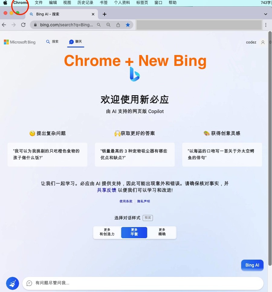 A0325微软New Bing完美聊天机器人源码，支持ChatGPT提示词 国内可用，基本兼容微软 Bing AI 所有功能