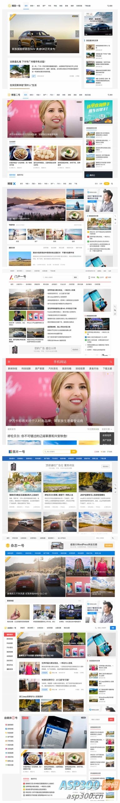 主题巴巴主题源码 合辑打包下载+主题巴巴SEO插件 | WordPress主题模版